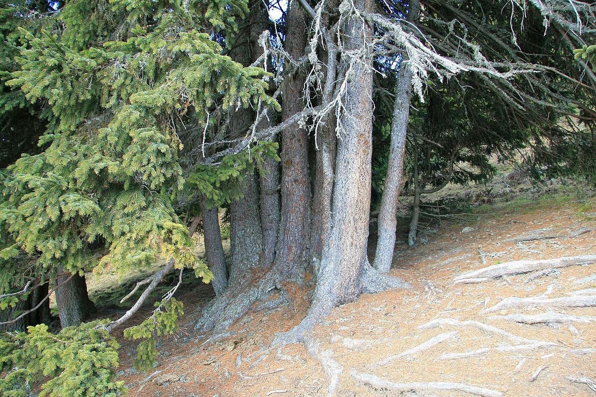 Carinzia, vacanze d'autunno sul Millstätter See tra slow trail e slow food