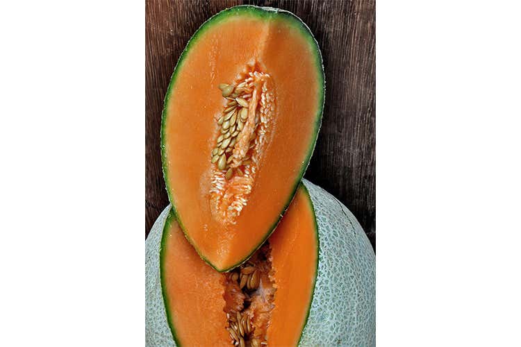 Carlo Silva - Melone Modigliani Carlo Silva - Melone Modigliani