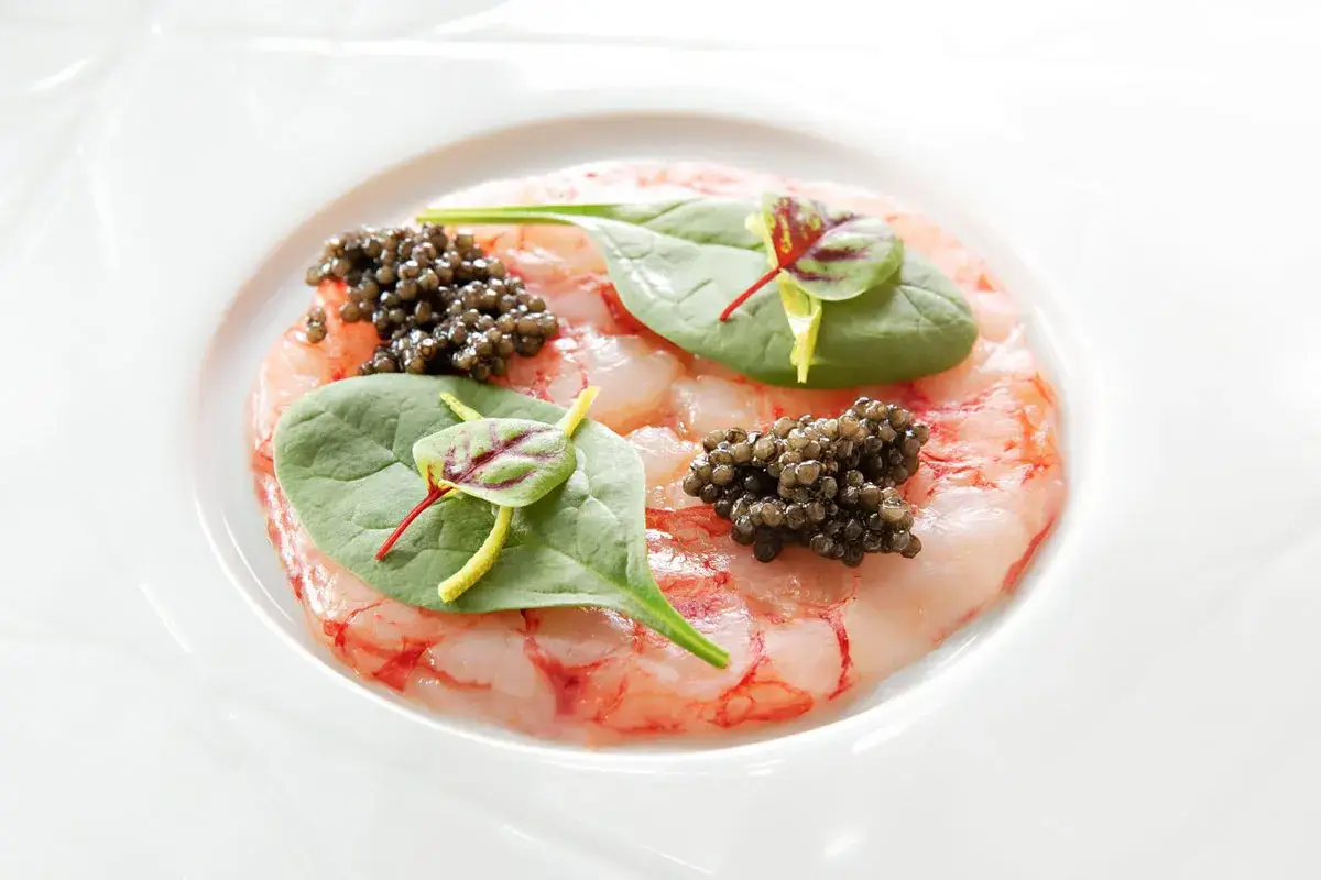 Carpaccio di gambero rosa, foglie di spinacino, zeste di lime e caviale Calvisius Tradition Carpaccio di gambero rosa, foglie di spinacino, zeste di lime e caviale Calvisius Tradition