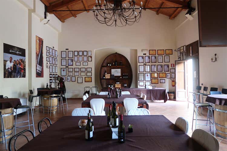 (Naturalmente bio Catarratto 2017 e Nero d’Avola 2016) (Naturalmente bio Catarratto 2017 e Nero d’Avola 2016)