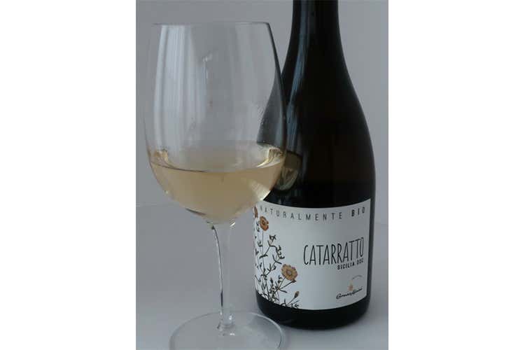 (Naturalmente bio Catarratto 2017 e Nero d’Avola 2016) (Naturalmente bio Catarratto 2017 e Nero d’Avola 2016)