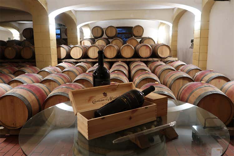 (Naturalmente bio Catarratto 2017 e Nero d’Avola 2016) (Naturalmente bio Catarratto 2017 e Nero d’Avola 2016)
