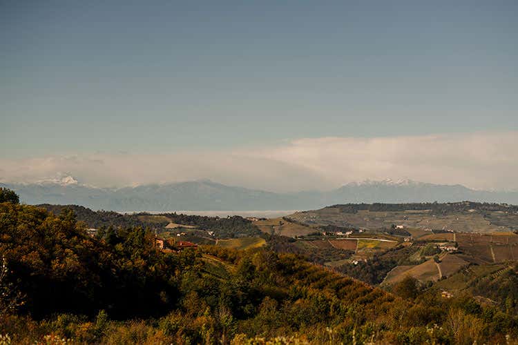 Rispetto per l'ambiente, in un paradiso come le Langhe, patrimonio Unesco - Lusso e sostenibilit&agrave; in Piemonte Casa di Langa debutta in primavera
