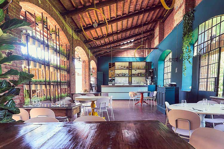 (CasaGoffi, fresco ristoro lungo la riva del Po)