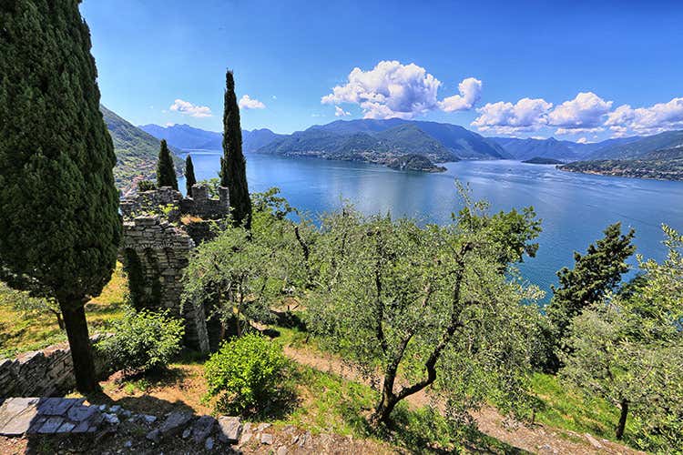 Gli uliveti in Lombardia, di fronte al lago di Garda - L'olio evo in Lombardia è di Casa...Liva Gli uliveti in Lombardia, di fronte al lago di Garda - L'olio evo in Lombardia è di Casa...Liva