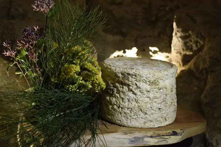 Molti i formaggi prodotti Il nuovo corso di Cascina Badin tra ecommerce, visite e spaccio
