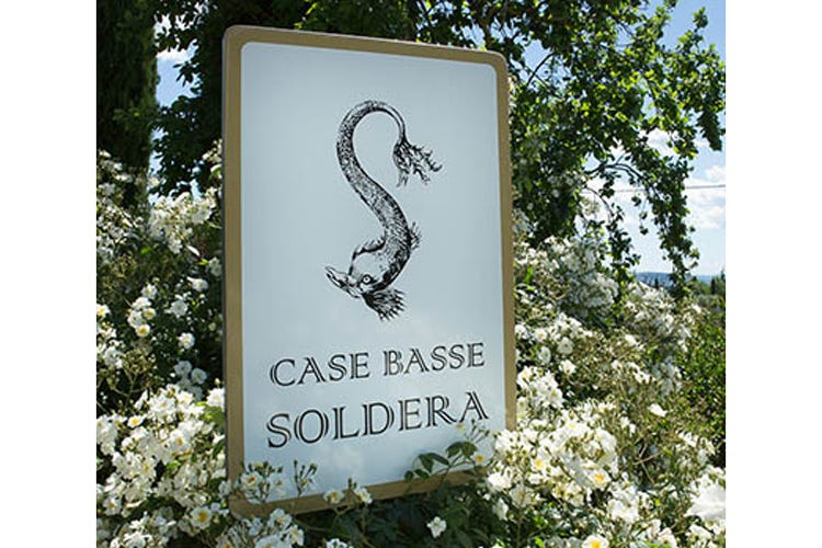 Case Basse forma 18 brand ambassador Un corso sul vino e su come comunicarlo