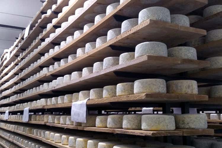 Caseificio Sociale Manciano Qualit&agrave; e attenzione al territorio