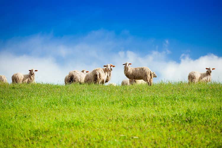 Caseificio Sociale Manciano Qualit&agrave; e attenzione al territorio