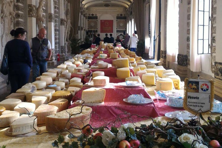 (Caseus Veneti 2018 In mostra 400 formaggi da 70 caseifici)