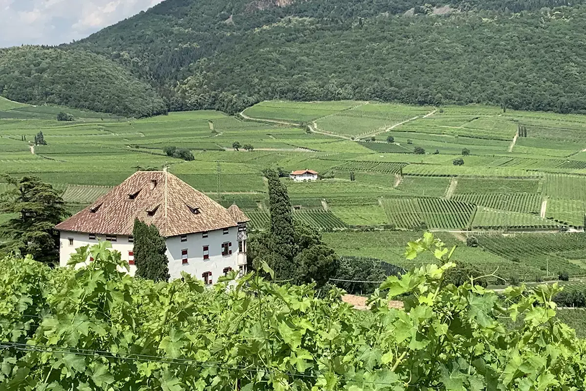 Castel Ringberg Elena Walch: la sostenibilit&agrave; non si improvvisa