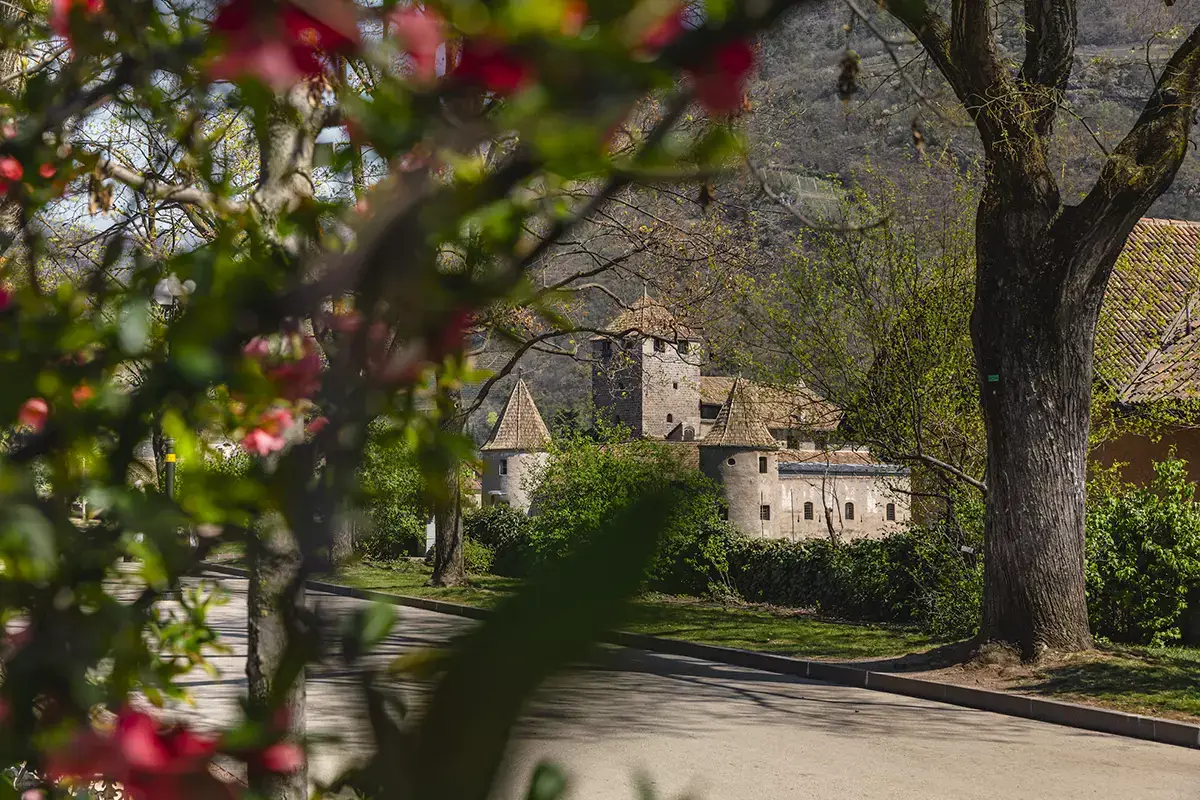 Castel Mareccio, Foto: St Guadagnini Le donne, i cavallier, l&rsquo;arme, gli amori... nei castelli di Bolzano