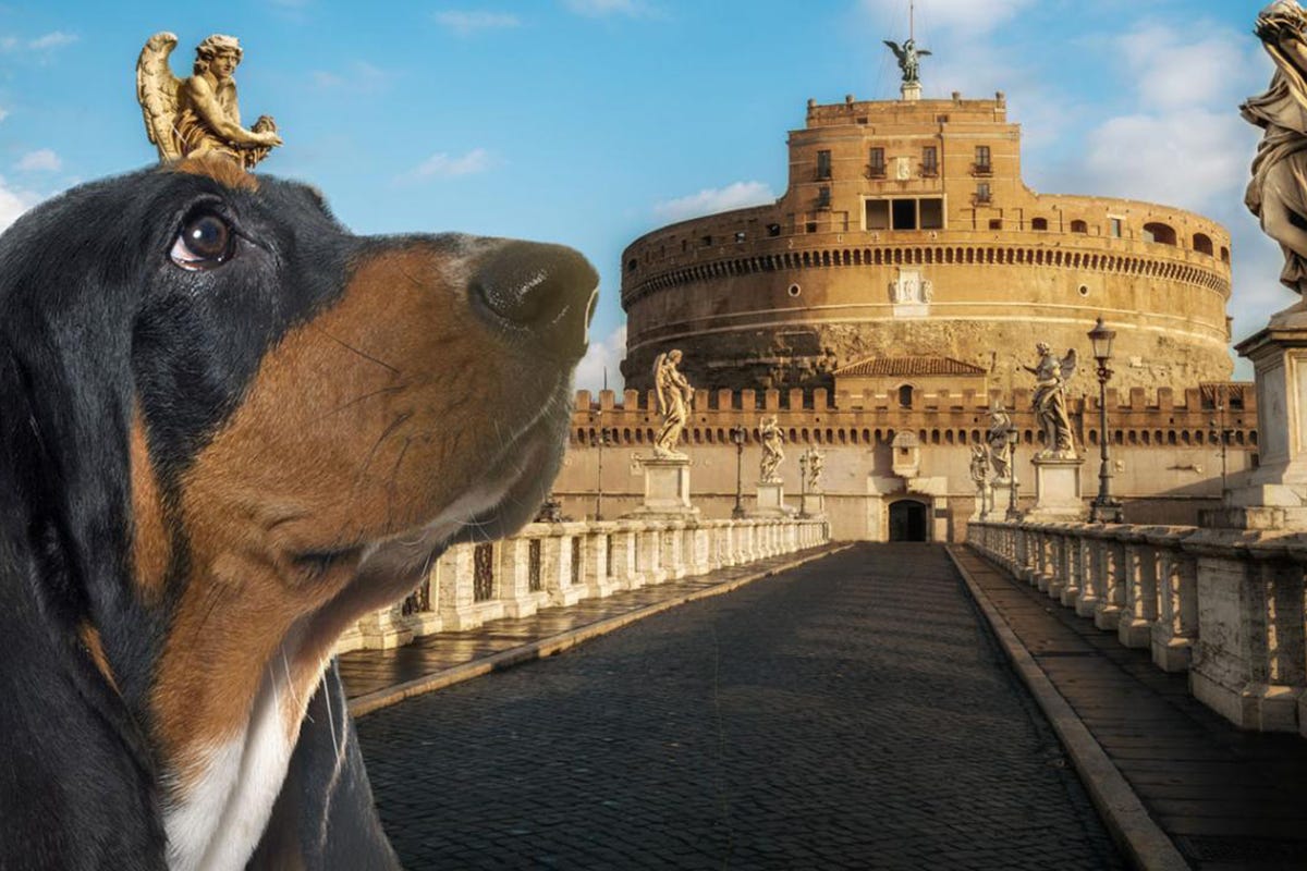 Castel Sant’Angelo Con il cane al muso? Arriva i servizi di dog sitter