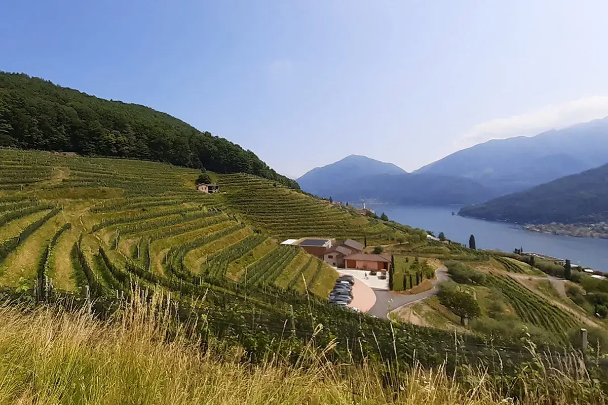 La tenuta del Castello