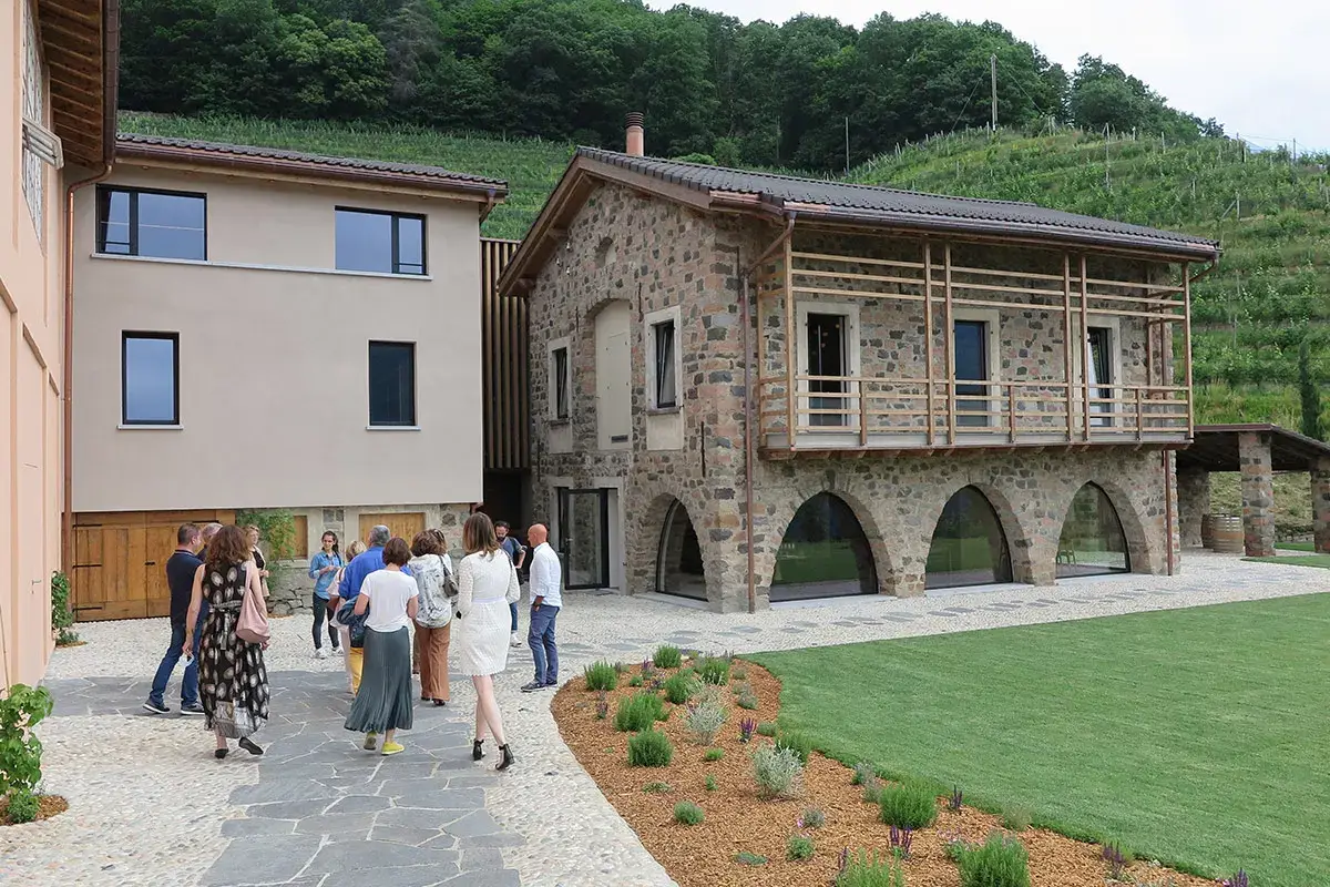La nuova cantina