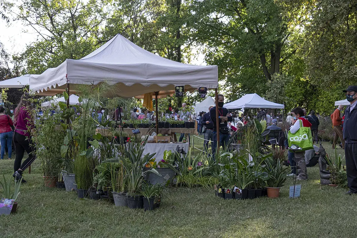 Agricoltura e artigianato a margine dell'evento I Frutti del Castello, due giorni alla scoperta di piante e fiori dimenticati