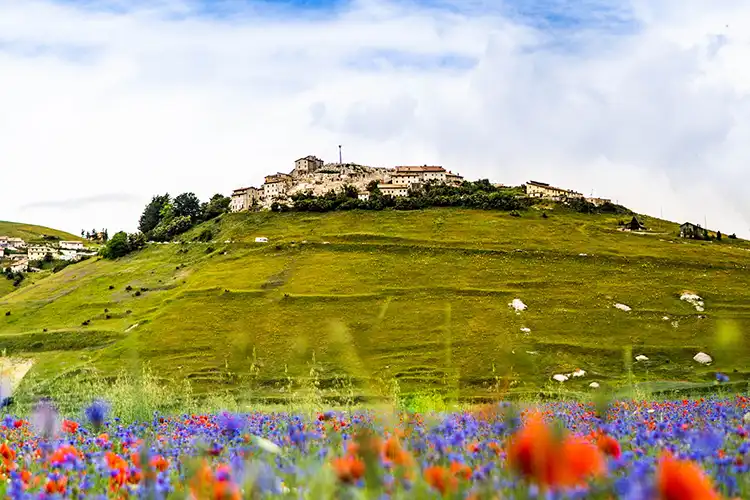 &Egrave; iniziata alla vigilia di Pasqua la semina 2021 della lenticchia di Castelluccio di Norcia Castelluccio di Norcia, al viala semina della lenticchia