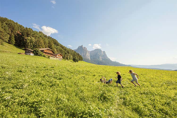 &Egrave; possibile ricevere il catalogo a casa propria, su ordinazione -  - Il nuovo catalogo del Gallo Rosso per vacanze diverse in Alto Adige
