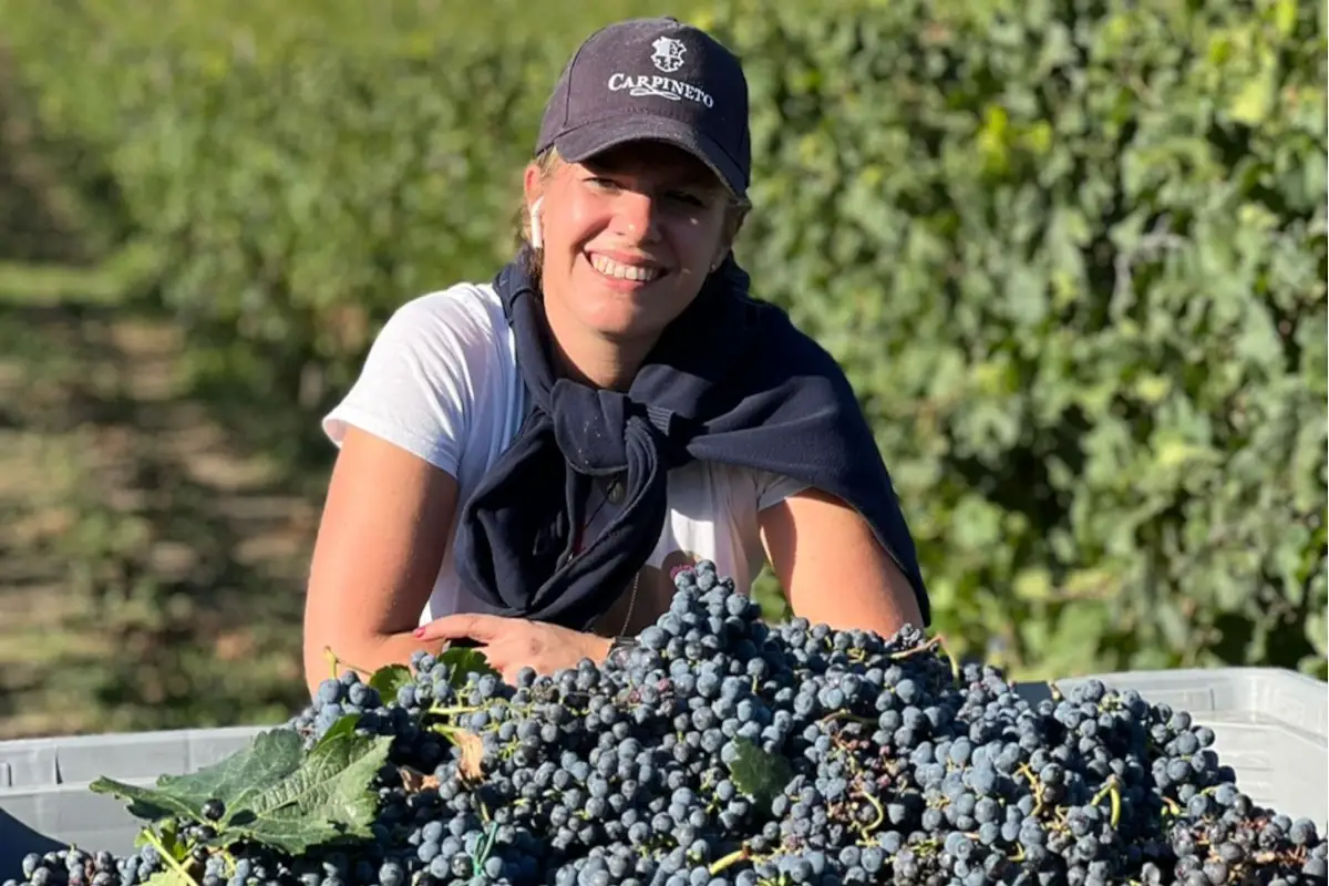 Caterina Sacchet Brunello di Montalcino Riserva 2016 di Carpineto, vino&hellip; da Paradiso