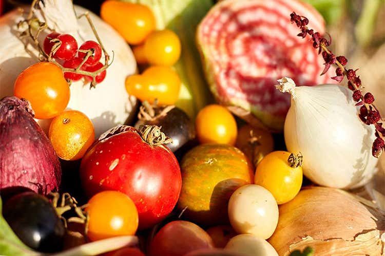 Torna il Ceglie food festival Dove il cibo è tutta un’altra storia Torna il Ceglie food festival Dove il cibo è tutta un’altra storia