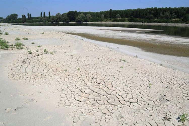 Centro Italia nella morsa della siccità A giugno -77% di pioggia e 4 gradi in più Centro Italia nella morsa della siccità A giugno -77% di pioggia e 4 gradi in più