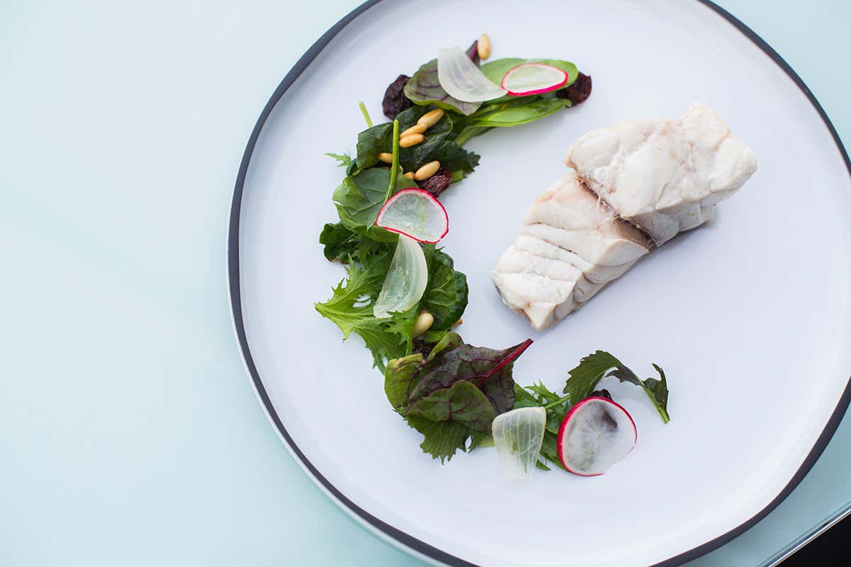 Cernia al vapore e insalatina in saor Ristorante o locale? Tutte e due! Ecco il segreto dell’Hi-Res