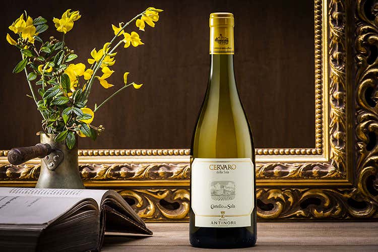 Cervaro della Sala - Il bianco italiano dell'estate per Wine Spectator è umbro Cervaro della Sala - Il bianco italiano dell'estate per Wine Spectator è umbro