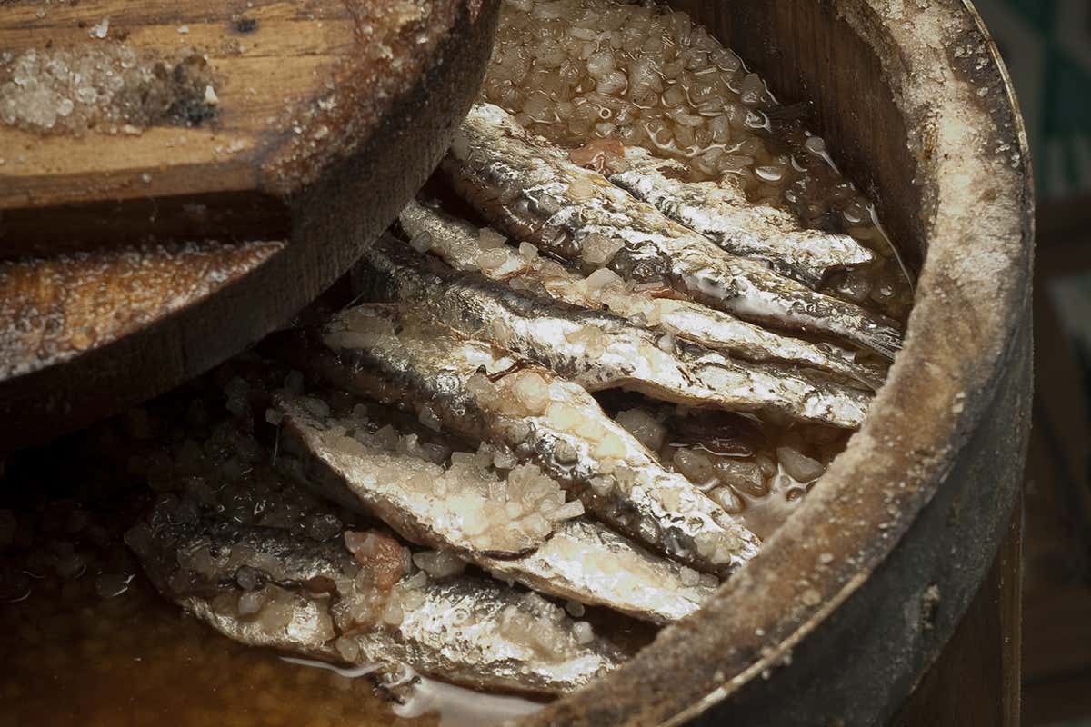 Le alici salate di Cetara Costiera amalfitana inedita. Ecco dove andare e cosa fare