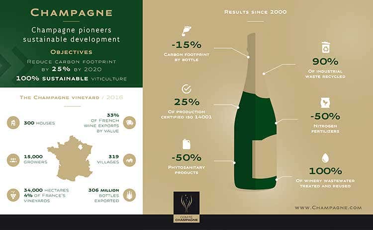 (Champagne green Dalla parte della sostenibilità) (Champagne green Dalla parte della sostenibilità)