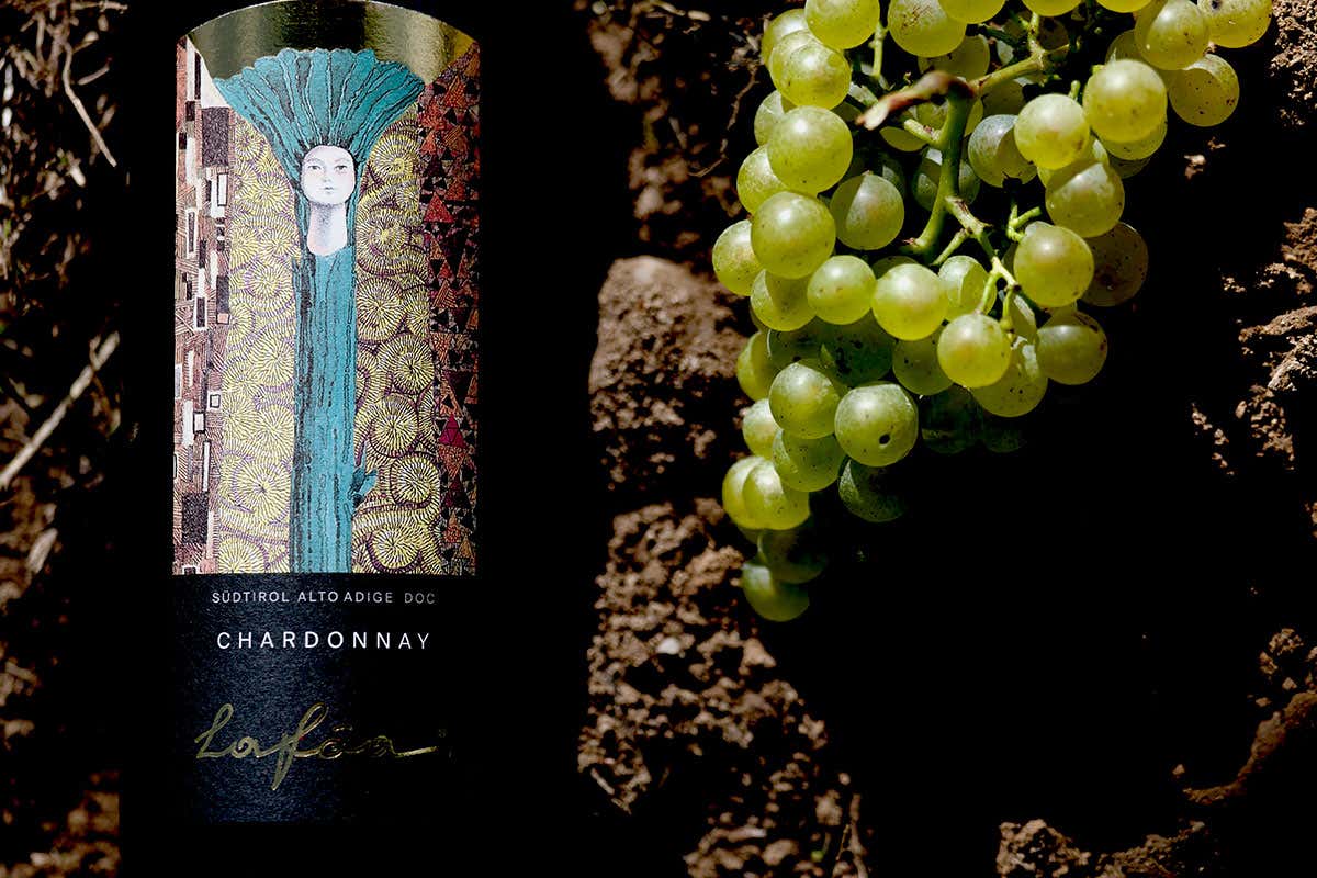 Chardonnay Lafóa (foto: Anam Cara) Chardonnay Colterenzio, storia di successo in continua evoluzione Chardonnay Lafóa (foto: Anam Cara) Chardonnay Colterenzio, storia di successo in continua evoluzione