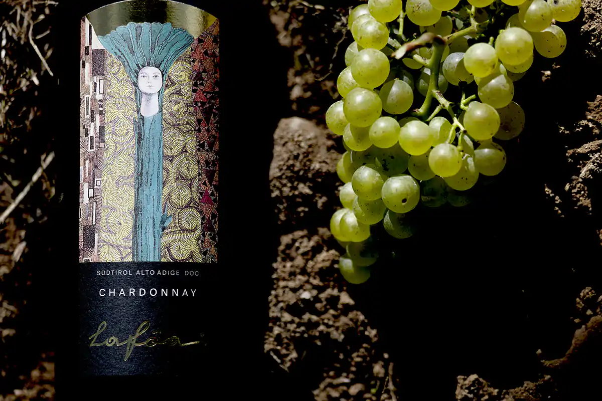 Chardonnay Laf&oacute;a (foto: Anam Cara) Chardonnay Colterenzio, storia di successo in continua evoluzione
