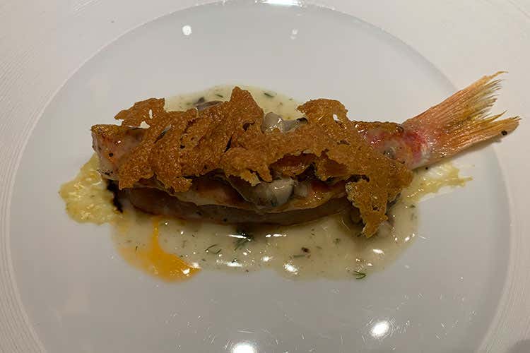 Triglia, lumachine di mare, polenta e lardo Terrinoni: Il pranzo non paga i conti ma guardiamo avanti