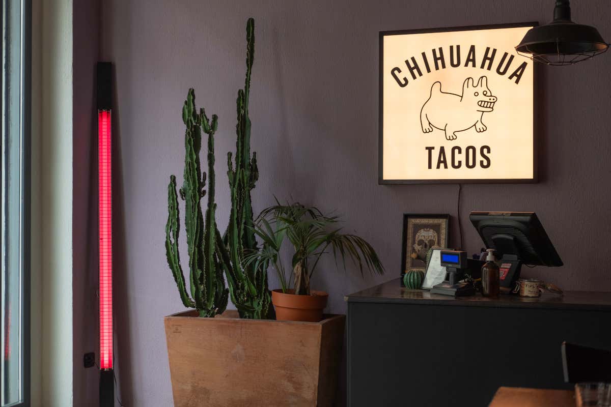 Il rinnovamento del Chihuahua Tacos ha portato a una nuova identità del brand
