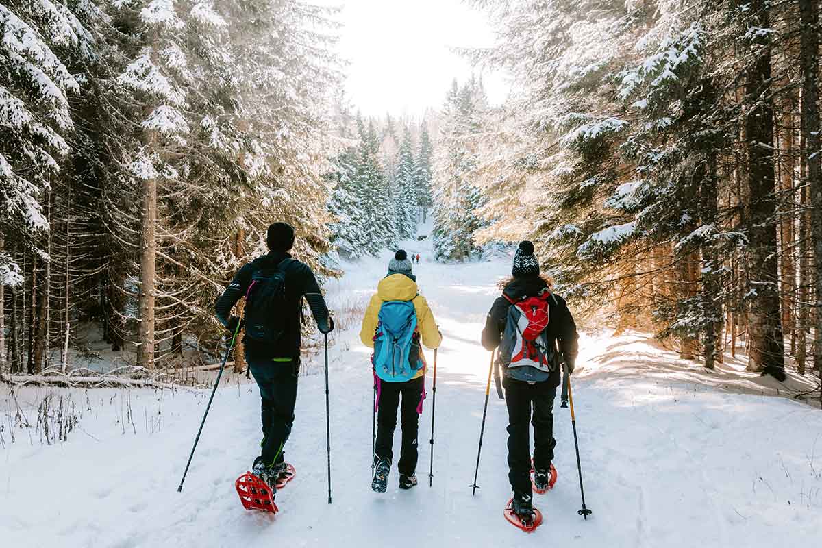 Val di Non d’inverno: tra castelli da fiaba, laghi di ghiaccio e ciaspolate notturne