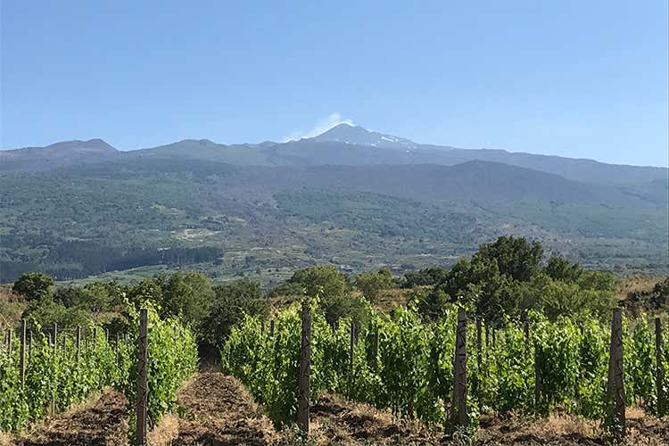 Cibo Nostrum, oltre 20mila presenze Un G7 della cucina con mille cuochi