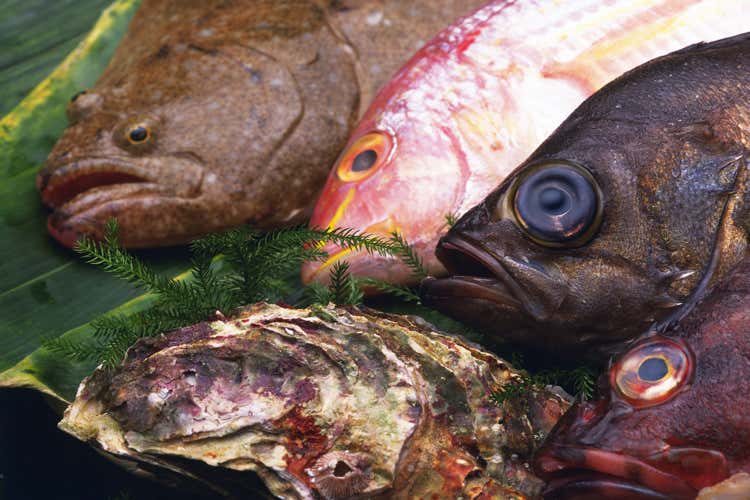 Cibo scaduto e mal conservato Multe salate a due ristoranti di Dalmine Cibo scaduto e mal conservato Multe salate a due ristoranti di Dalmine