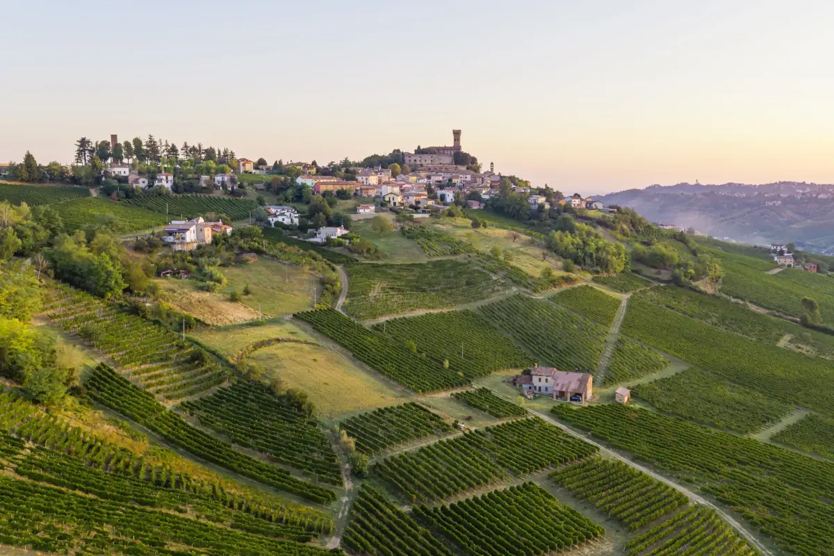 I vigneti del Castello di Cigognola Castello di Cigognola, Pinot noir che sa di umanesimo