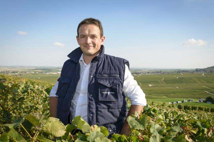 Clément Pierlot - Clément Pierlot 10° chef de cave di Pommery Clément Pierlot - Clément Pierlot 10° chef de cave di Pommery