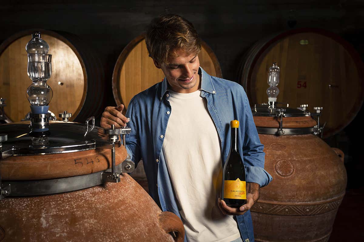 Clemente Zecca Calavento, orange wine salentino