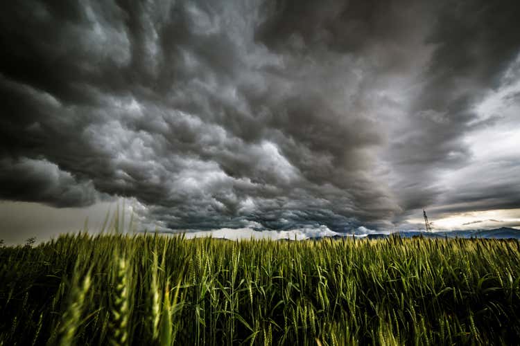 Clima pazzo negli ultimi dieci anni Danni da 14 miliardi per l’agricoltura Clima pazzo negli ultimi dieci anni Danni da 14 miliardi per l’agricoltura