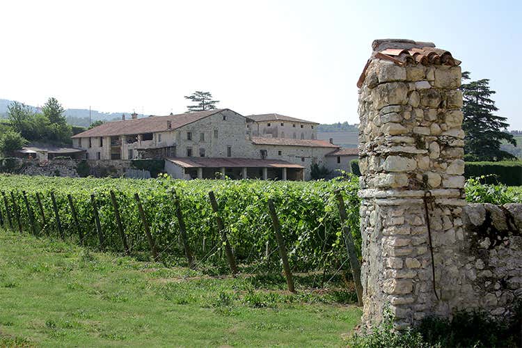 Clos Roareti, da Bordeaux alla Valpolicella Nel bicchiere i profumi tipici del Merlot Clos Roareti, da Bordeaux alla Valpolicella Nel bicchiere i profumi tipici del Merlot