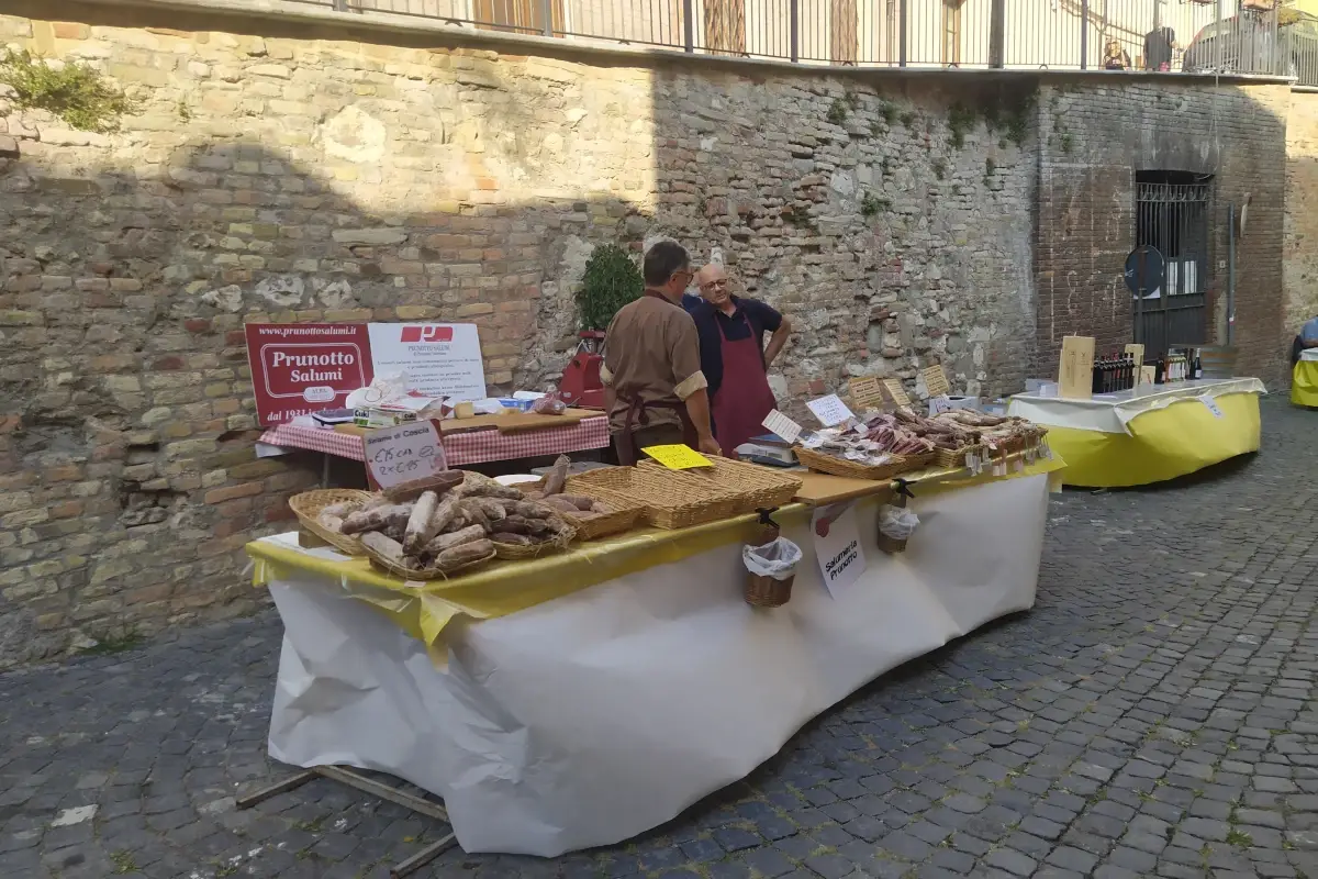 Cocco Wine, grande festa in Monferrato con la Barbera