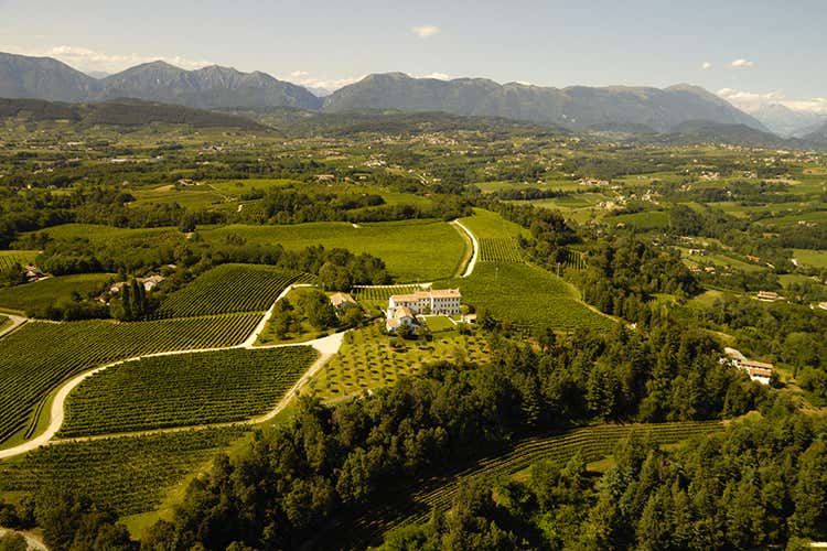 The WineHunter Award premia i vini di Col Sandago The WineHunter Award premia i vini di Col Sandago