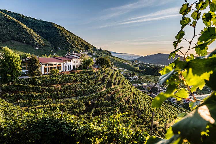 Le colline di Conegliano Valdobbiadene (Col Vetoraz: «Produciamo ciò che siamo») Le colline di Conegliano Valdobbiadene (Col Vetoraz: «Produciamo ciò che siamo»)