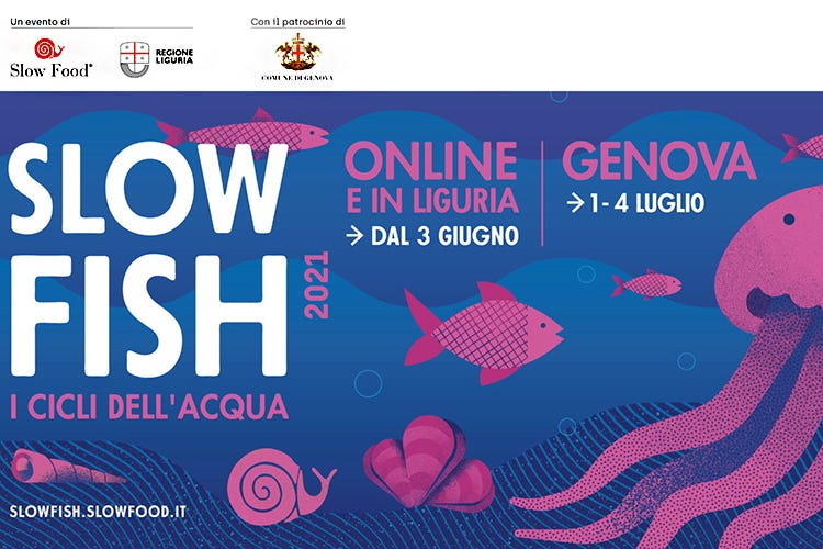 Appuntamento con Slow Fish, dall'1 al 4 luglio a Genova Slow Fish, la Colatura di alici Dop si confronta con il consumatore