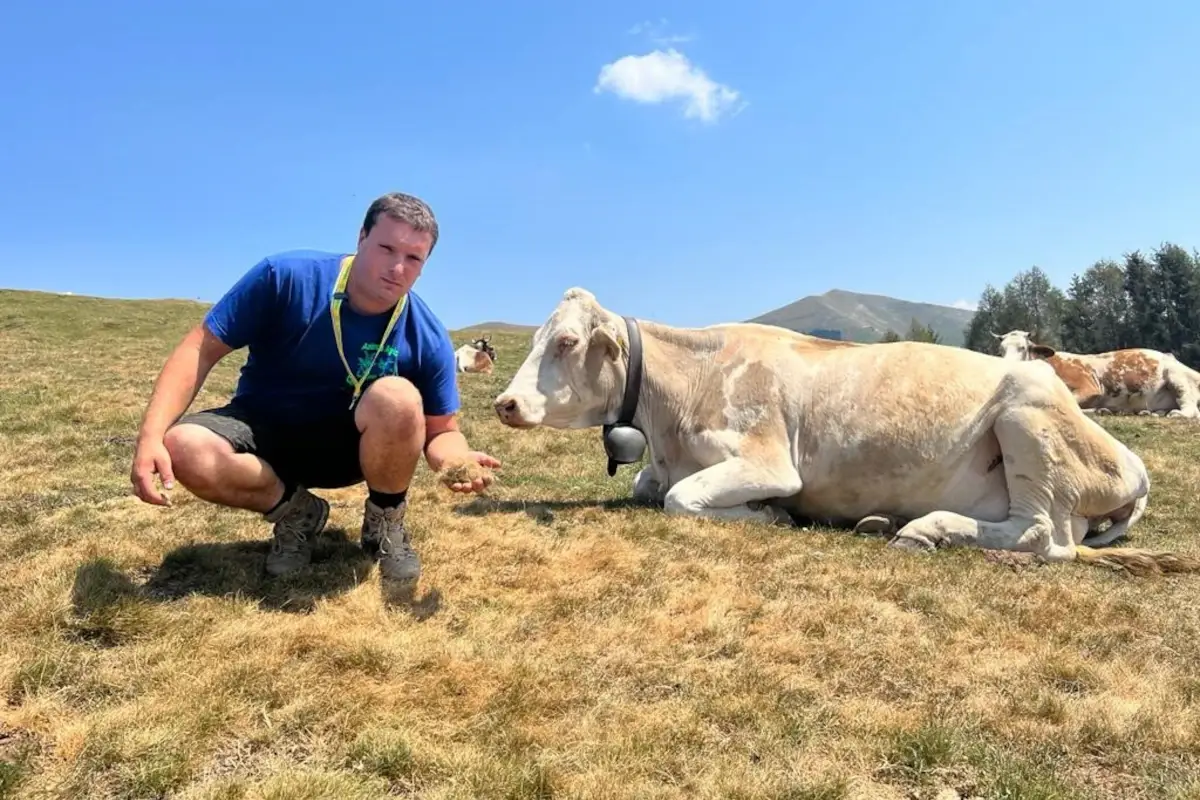 Alpeggi con l'erba secca Manca l'acqua e il foraggio per gli animali, addio anticipato ai pascoli sui monti