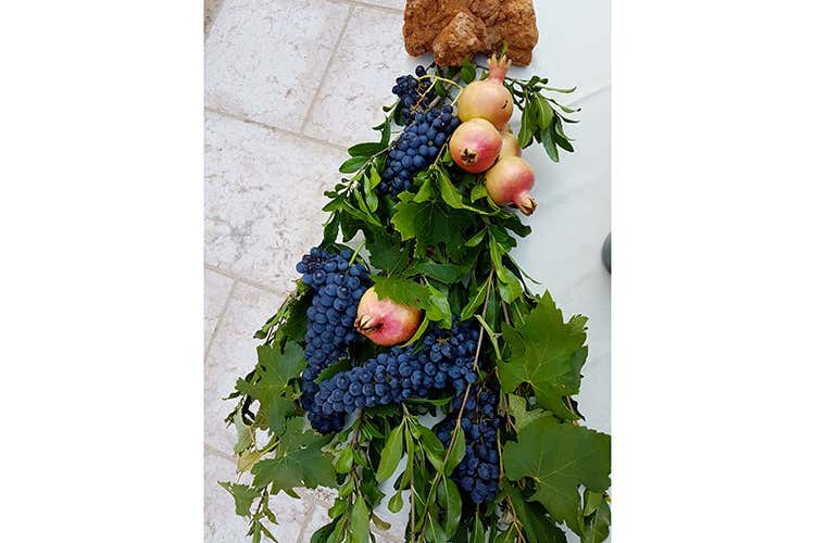 Queste cantine sono anche luoghi dove l'accoglienza &egrave; un must - Colli Berici, microcosmo di cantine dove la parola d'ordine &egrave; Rispetto