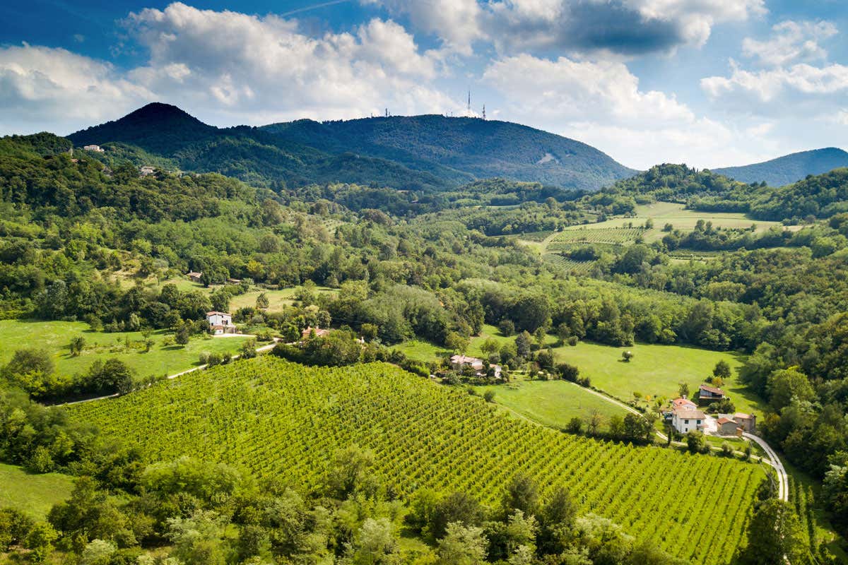 La biosfera dei Colli Euganei candidata all’Unesco