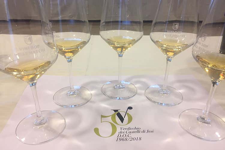 (Collisioni Jesi 2018 Celebrati i 50 anni della Doc Verdicchio) (Collisioni Jesi 2018 Celebrati i 50 anni della Doc Verdicchio)
