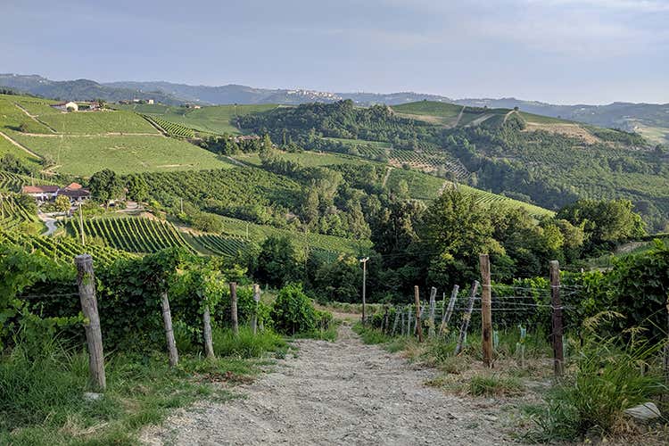 Langhe, un patrimonio unico, una vista mozzafiato (Collisioni, retroscena food)